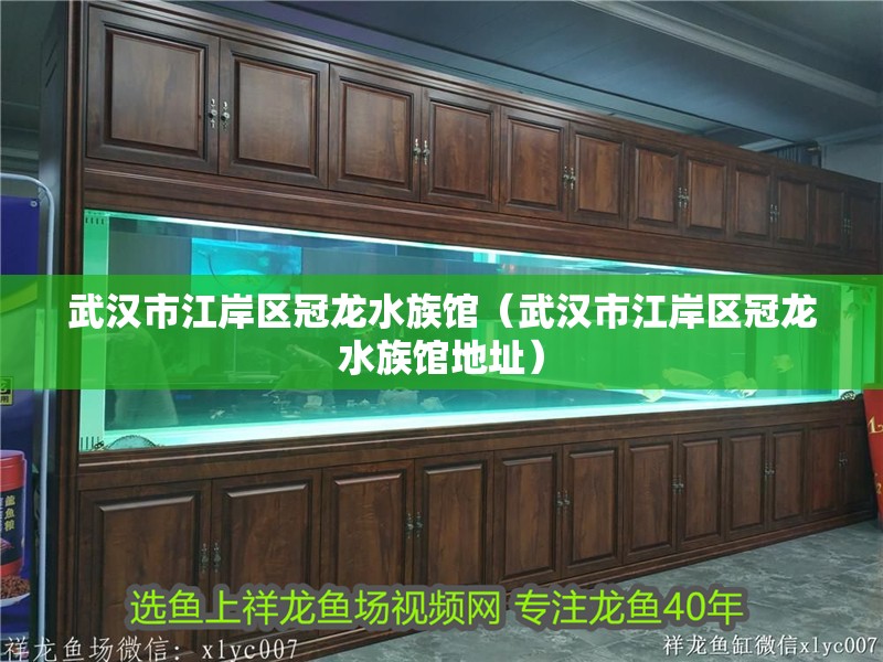 武漢市江岸區(qū)冠龍水族館（武漢市江岸區(qū)冠龍水族館地址）