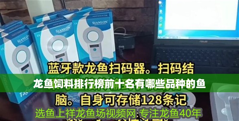 龍魚飼料排行榜前十名有哪些品種的魚