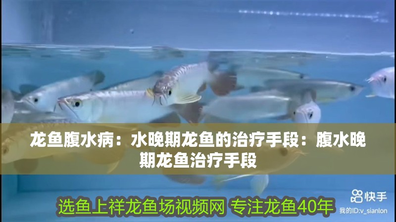 龍魚腹水病：水晚期龍魚的治療手段：腹水晚期龍魚治療手段