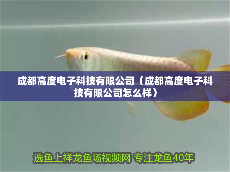 成都高度電子科技有限公司（成都高度電子科技有限公司怎么樣）