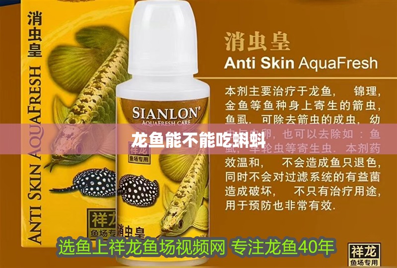 龍魚能不能吃蝌蚪 龍魚能不能吃蝌蚪 龍魚百科 第2張