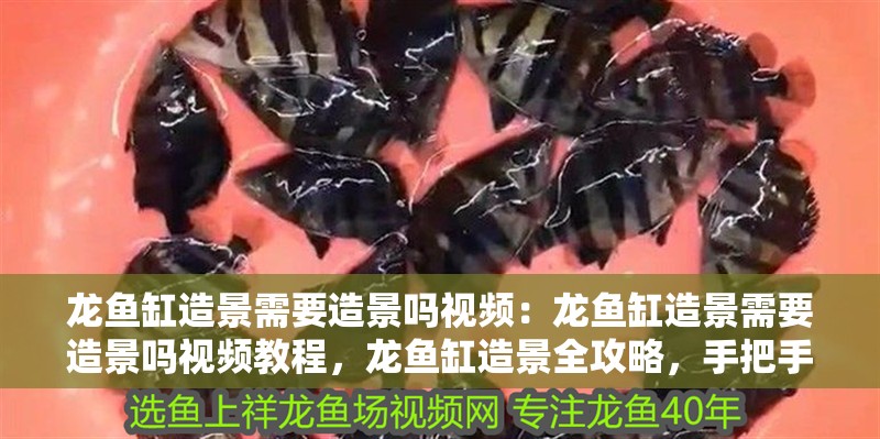 [2025]一波印尼小紅龍：印尼小紅龍的生態(tài)習(xí)性