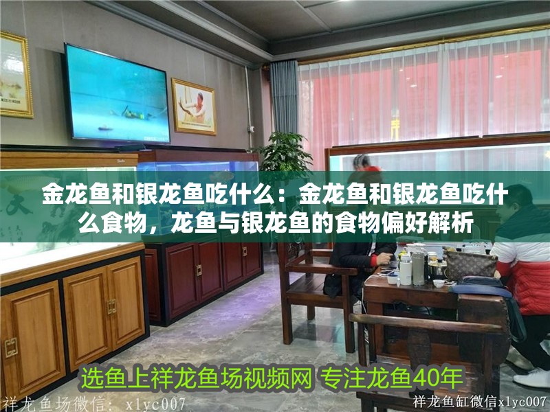 金龍魚和銀龍魚吃什么：金龍魚和銀龍魚吃什么食物，龍魚與銀龍魚的食物偏好解析