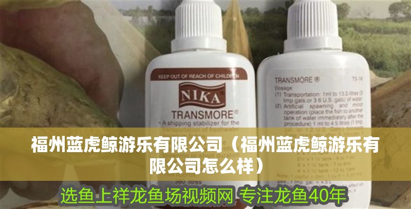 福州藍(lán)虎鯨游樂有限公司（福州藍(lán)虎鯨游樂有限公司怎么樣）