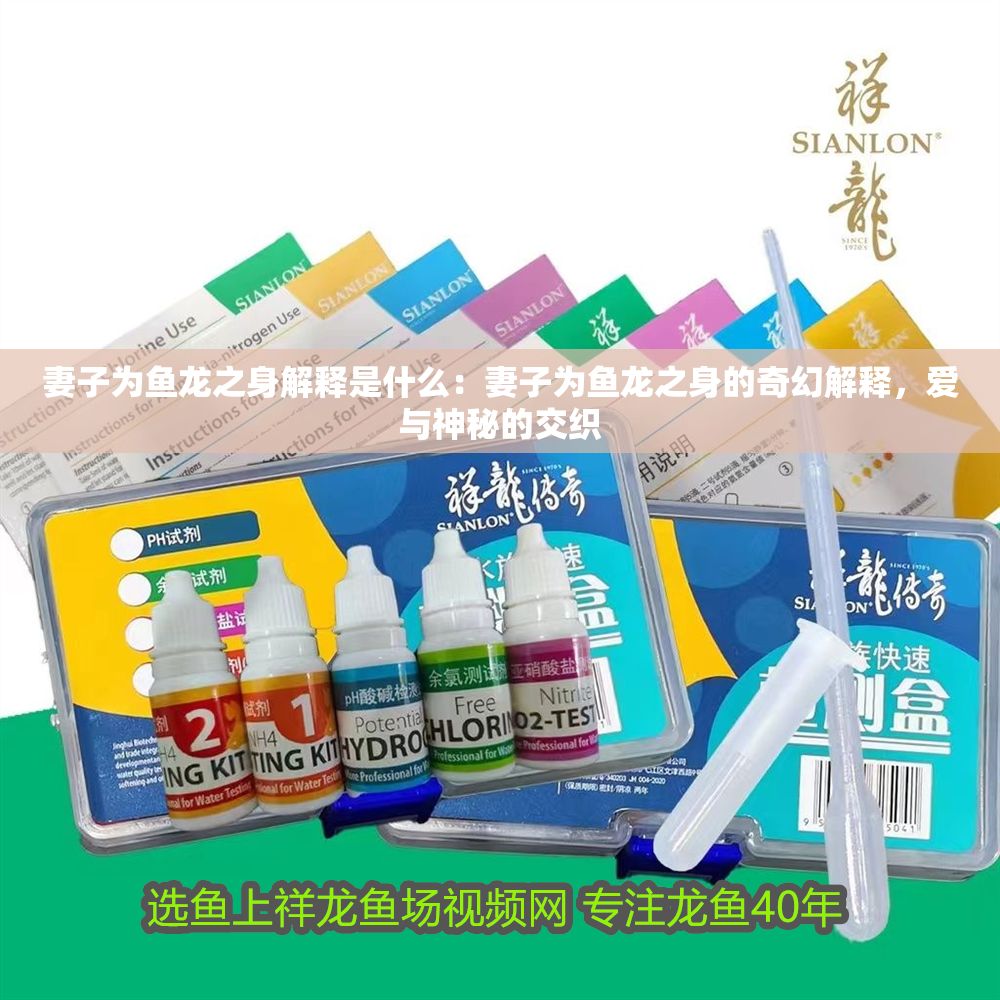 妻子為魚龍之身解釋是什么：妻子為魚龍之身的奇幻解釋，愛與神秘的交織