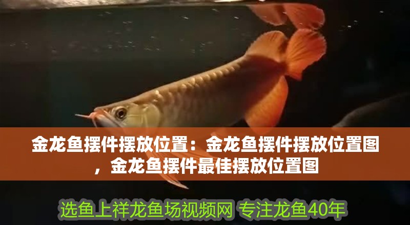 金龍魚擺件擺放位置：金龍魚擺件擺放位置圖，金龍魚擺件最佳擺放位置圖