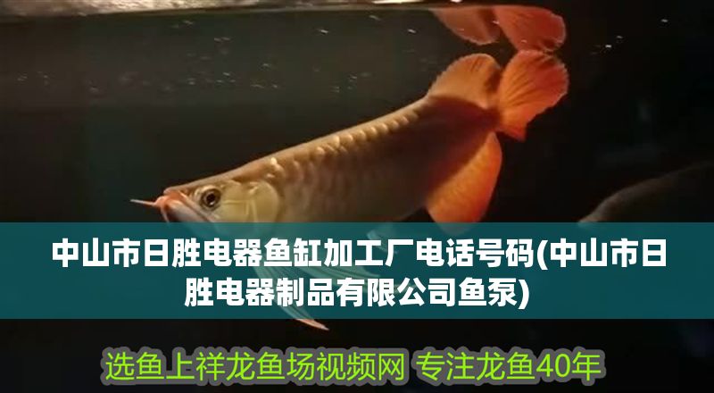 中山市日勝電器魚缸加工廠電話號碼(中山市日勝電器制品有限公司魚泵)