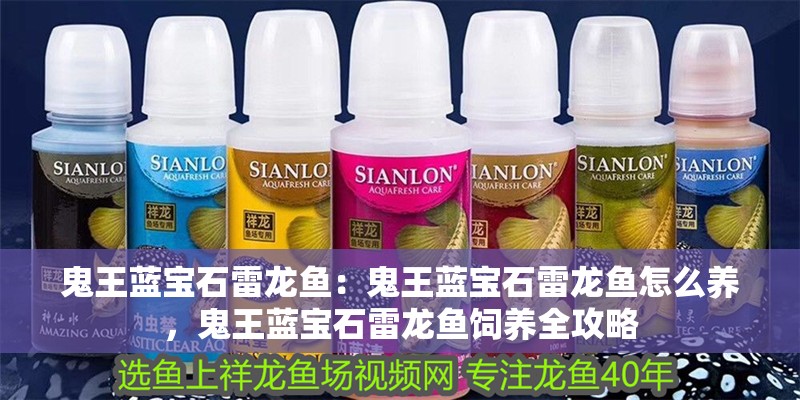 鬼王藍寶石雷龍魚：鬼王藍寶石雷龍魚怎么養，鬼王藍寶石雷龍魚飼養全攻略