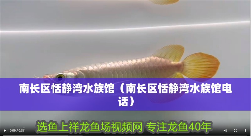 南長區恬靜灣水族館（南長區恬靜灣水族館電話）