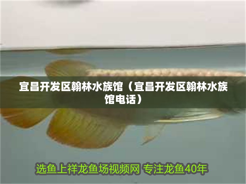 宜昌開發區翰林水族館（宜昌開發區翰林水族館電話）