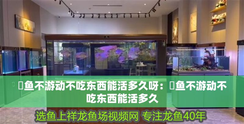 魟魚不游動不吃東西能活多久呀：魟魚不游動不吃東西能活多久