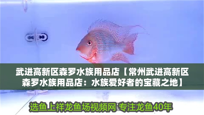 武進高新區森羅水族用品店【常州武進高新區森羅水族用品店：水族愛好者的寶藏之地】