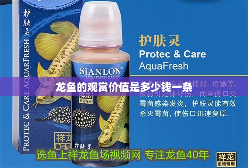 龍魚的觀賞價值是多少錢一條