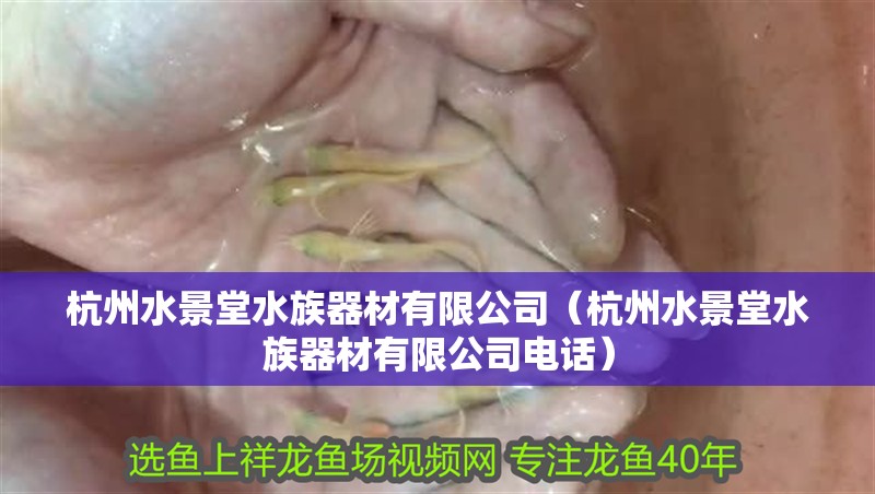 杭州水景堂水族器材有限公司(杭州水景堂水族器材有限公司電話) 全國水族館企業名錄 第2張 杭州水景堂水族器材有限公司(杭州水景堂水族器材有限公司電話) 杭州水景堂水族器材有限公司(杭州水景堂水族器材有限公司電話) 全國水族館企業名錄 第2張