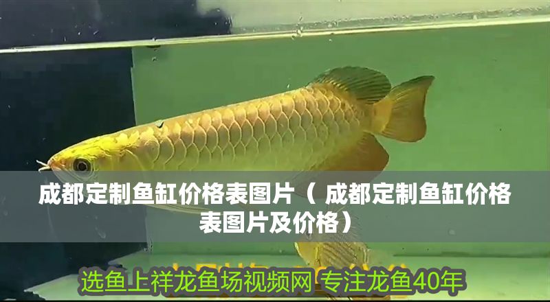成都定制魚缸價格表圖片( 成都定制魚缸價格表圖片及價格) 金龍魚百科 第1張 成都定制魚缸價格表圖片( 成都定制魚缸價格表圖片及價格) 成都定制魚缸價格表圖片( 成都定制魚缸價格表圖片及價格) 金龍魚百科 第1張