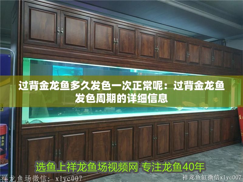 過背金龍魚多久發色一次正常呢：過背金龍魚發色周期的詳細信息