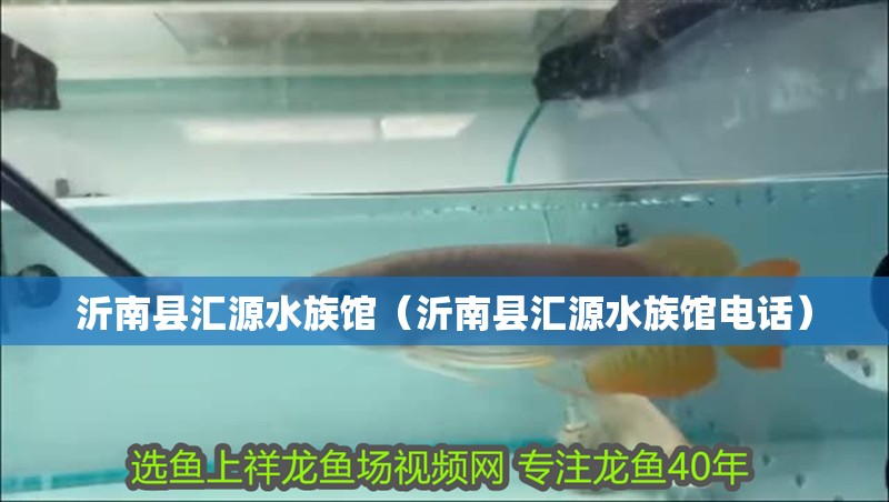 沂南縣匯源水族館（沂南縣匯源水族館電話）