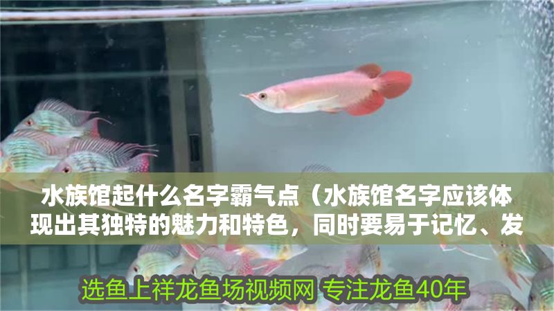 水族館起什么名字霸氣點（水族館名字應該體現出其獨特的魅力和特色，同時要易于記憶、發音清晰）