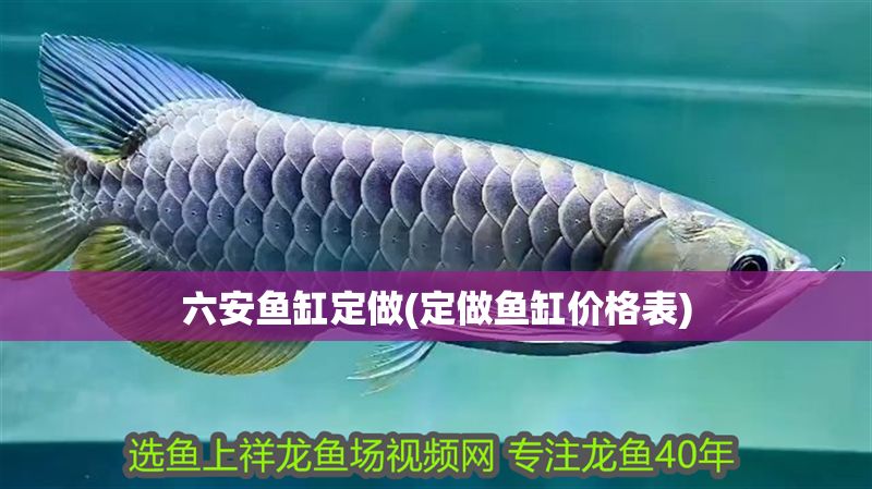 六安魚缸定做(定做魚缸價格表)