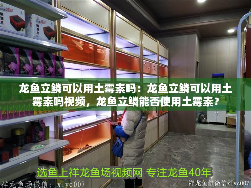 龍魚立鱗可以用土霉素嗎：龍魚立鱗可以用土霉素嗎視頻，龍魚立鱗能否使用土霉素？