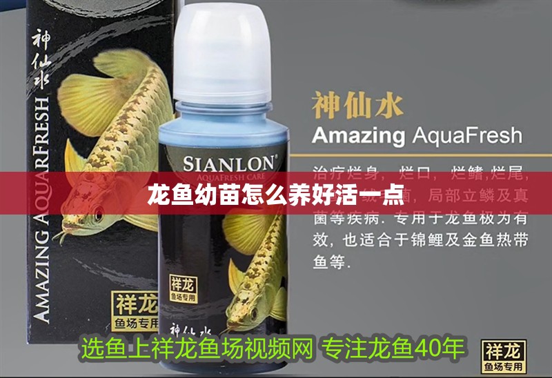 龍魚幼苗怎么養好活一點