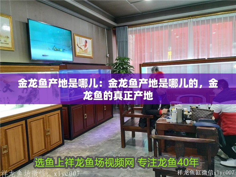 金龍魚產地是哪兒：金龍魚產地是哪兒的，金龍魚的真正產地