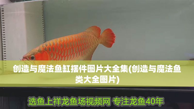 創(chuàng)造與魔法魚(yú)缸擺件圖片大全集(創(chuàng)造與魔法魚(yú)類(lèi)大全圖片)