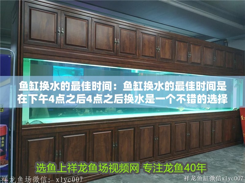 魚缸換水的最佳時間：魚缸換水的最佳時間是在下午4點之后4點之后換水是一個不錯的選擇