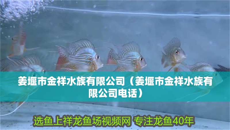 姜堰市金祥水族有限公司（姜堰市金祥水族有限公司電話）