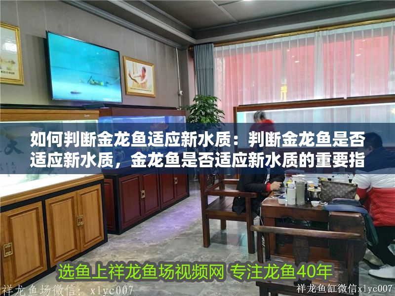 如何判斷金龍魚適應(yīng)新水質(zhì)：判斷金龍魚是否適應(yīng)新水質(zhì)，金龍魚是否適應(yīng)新水質(zhì)的重要指標(biāo)