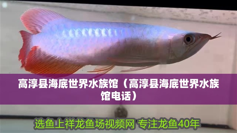 高淳縣海底世界水族館（高淳縣海底世界水族館電話）