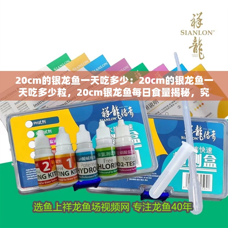 20cm的銀龍魚一天吃多少：20cm的銀龍魚一天吃多少粒，20cm銀龍魚每日食量揭秘，究竟該喂