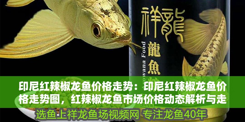 印尼紅辣椒龍魚價格走勢：印尼紅辣椒龍魚價格走勢圖，紅辣椒龍魚市場價格動態解析與走勢
