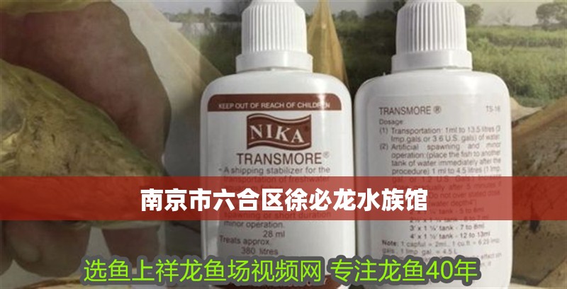 南京市六合區徐必龍水族館