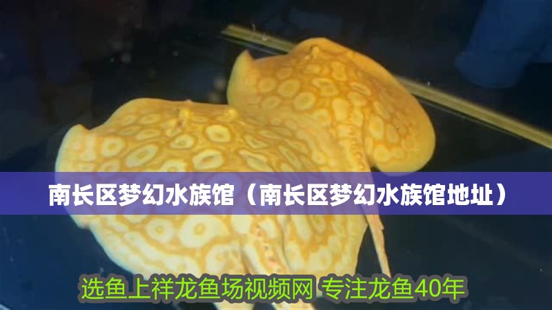南長區夢幻水族館（南長區夢幻水族館地址）