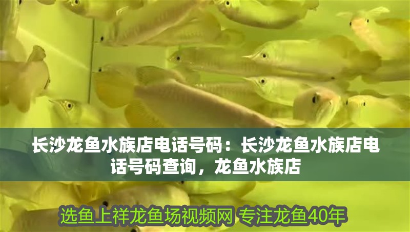 長(zhǎng)沙龍魚(yú)水族店電話號(hào)碼：長(zhǎng)沙龍魚(yú)水族店電話號(hào)碼查詢，龍魚(yú)水族店