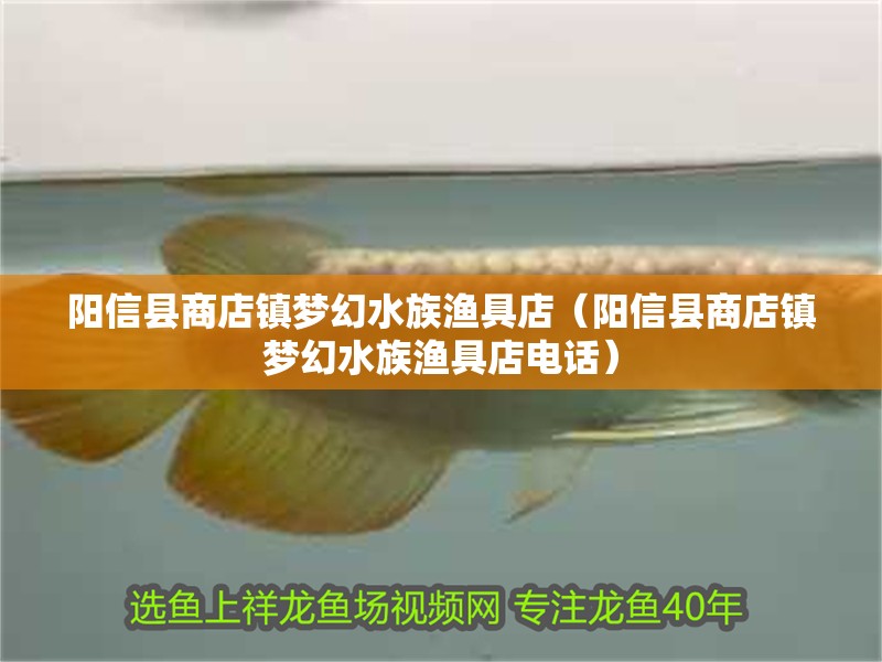 陽信縣商店鎮(zhèn)夢幻水族漁具店（陽信縣商店鎮(zhèn)夢幻水族漁具店電話）