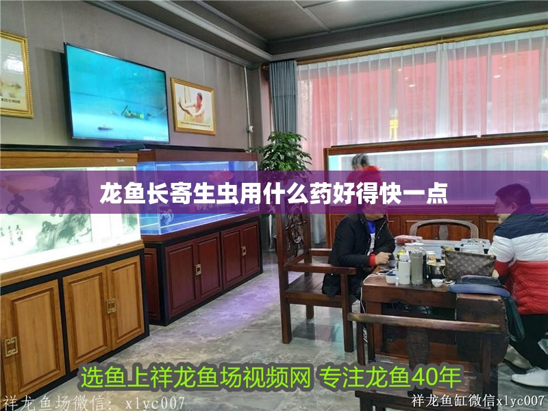 龍魚長寄生蟲用什么藥好得快一點