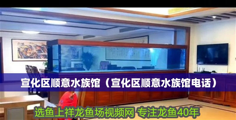 宣化區順意水族館（宣化區順意水族館電話）
