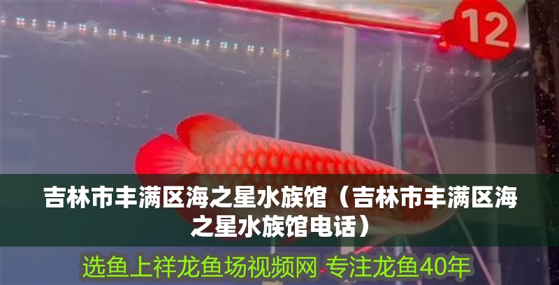 吉林市豐滿區海之星水族館（吉林市豐滿區海之星水族館電話）