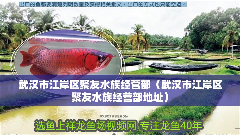 武漢市江岸區聚友水族經營部（武漢市江岸區聚友水族經營部地址）