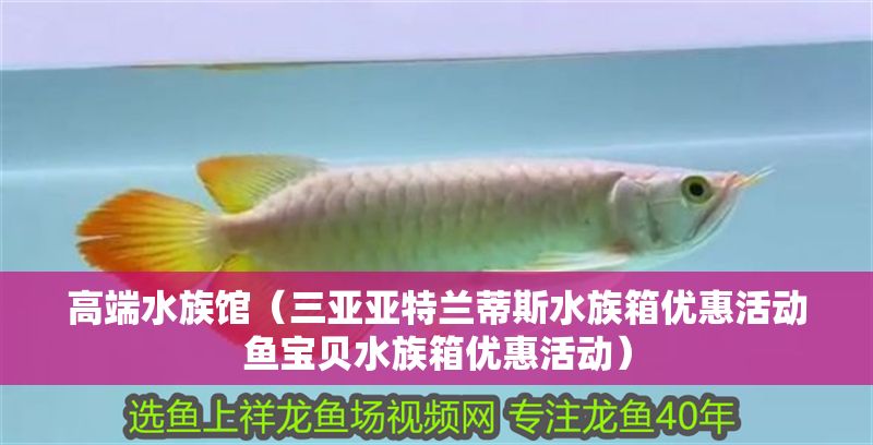 高端水族館（三亞亞特蘭蒂斯水族箱優惠活動魚寶貝水族箱優惠活動）