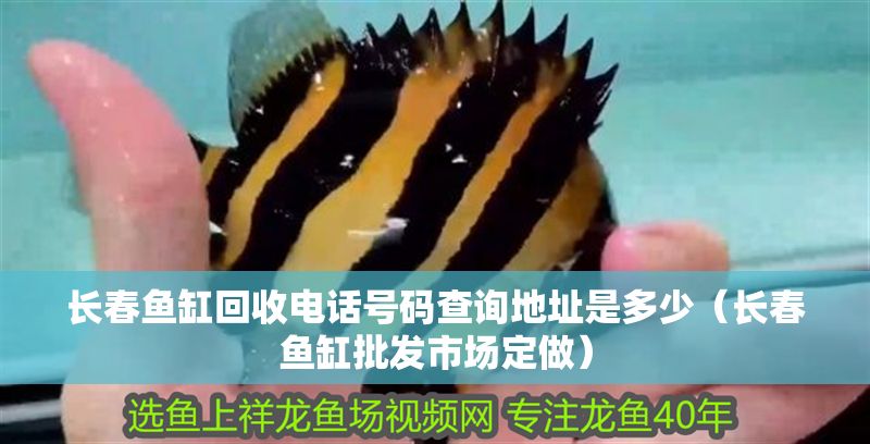 長春魚缸回收電話號碼查詢地址是多少（長春魚缸批發市場定做）