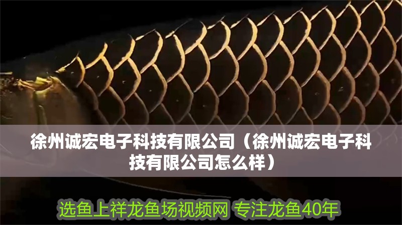 徐州誠宏電子科技有限公司（徐州誠宏電子科技有限公司怎么樣） 徐州誠宏電子科技有限公司（徐州誠宏電子科技有限公司怎么樣） 全國水族館企業名錄 第2張