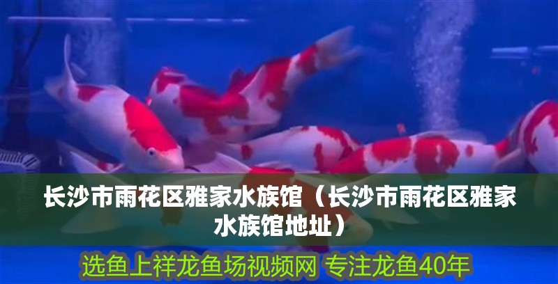 長沙市雨花區雅家水族館（長沙市雨花區雅家水族館地址）