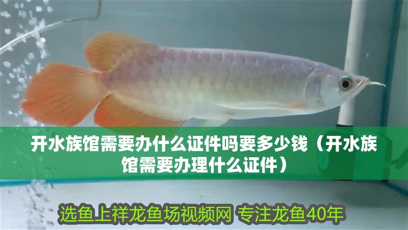 開水族館需要辦什么證件嗎要多少錢（開水族館需要辦理什么證件）