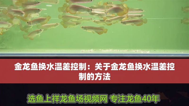 金龍魚換水溫差控制：關于金龍魚換水溫差控制的方法