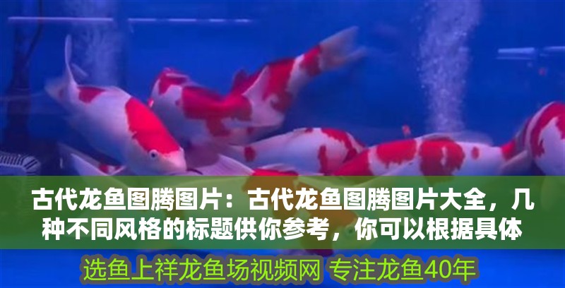 古代龍魚圖騰圖片：古代龍魚圖騰圖片大全，幾種不同風格的標題供你參考，你可以根據具體需求進行選擇，，文藝風，探尋古代龍魚圖騰，絕美圖片全覽，直白實用風，古代龍魚圖騰高清圖片合集，神秘氛圍風，解鎖古代龍魚圖騰的神秘視覺