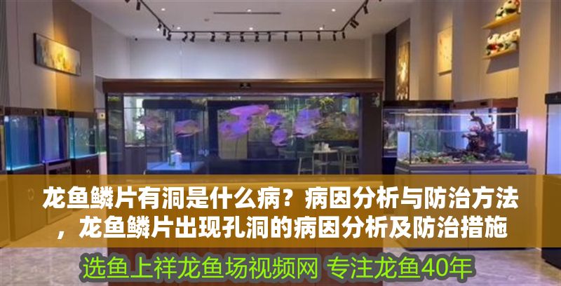 龍魚鱗片有洞是什么病？病因分析與防治方法，龍魚鱗片出現孔洞的病因分析及防治措施