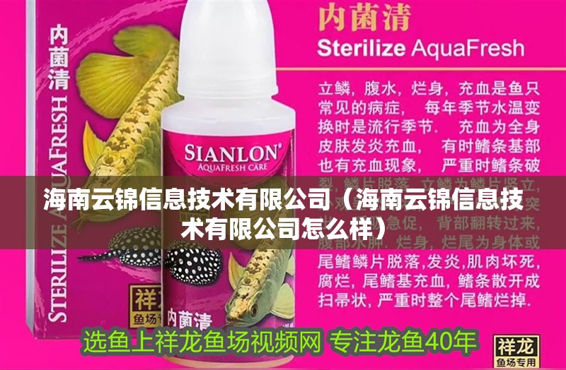 海南云錦信息技術有限公司（海南云錦信息技術有限公司怎么樣）